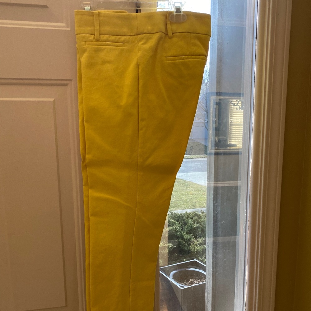 Capri Pants - image 1